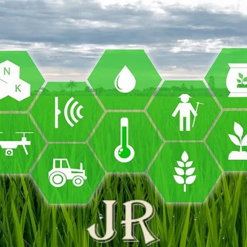 التسويق الإلكتروني للمنتجات الزراعية